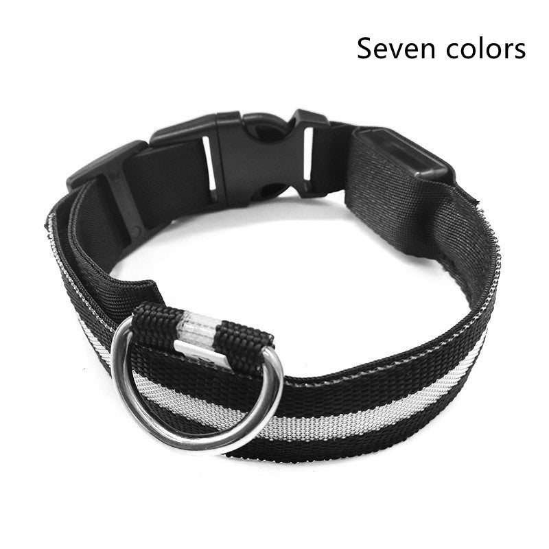 Collar Luminoso LED de Nylon