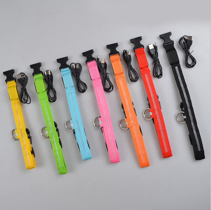 Collar Luminoso LED de Nylon