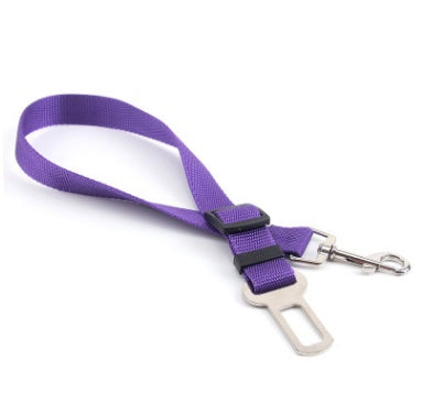 Correa Fija de Poliéster 70cm