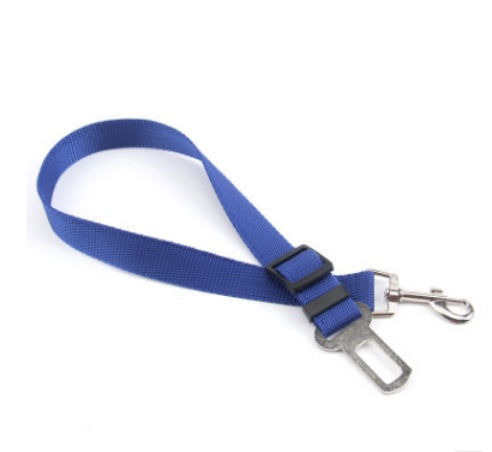 Correa Fija de Poliéster 70cm