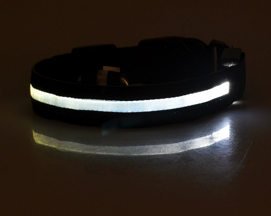 Collar Luminoso LED de Nylon