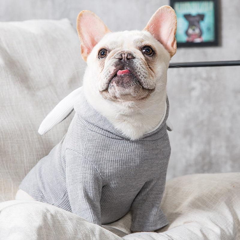 Ropa para Perros Primavera y Otoño - Sudadera Cómoda
