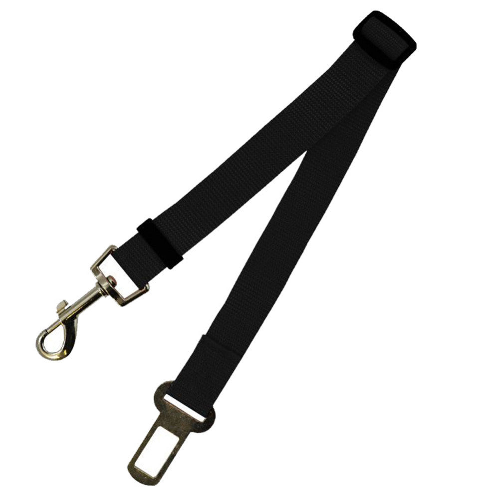 Correa Fija de Poliéster 70cm