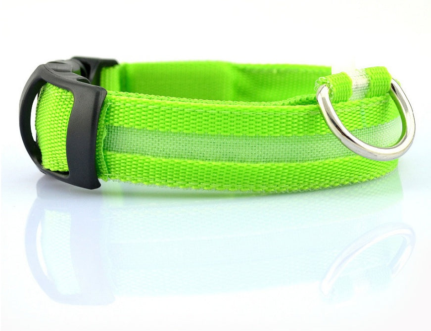 Collar Luminoso LED de Nylon