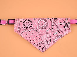 Pañuelo Triangular Retráctil para Mascotas