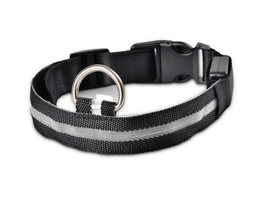 Collar Luminoso LED de Nylon