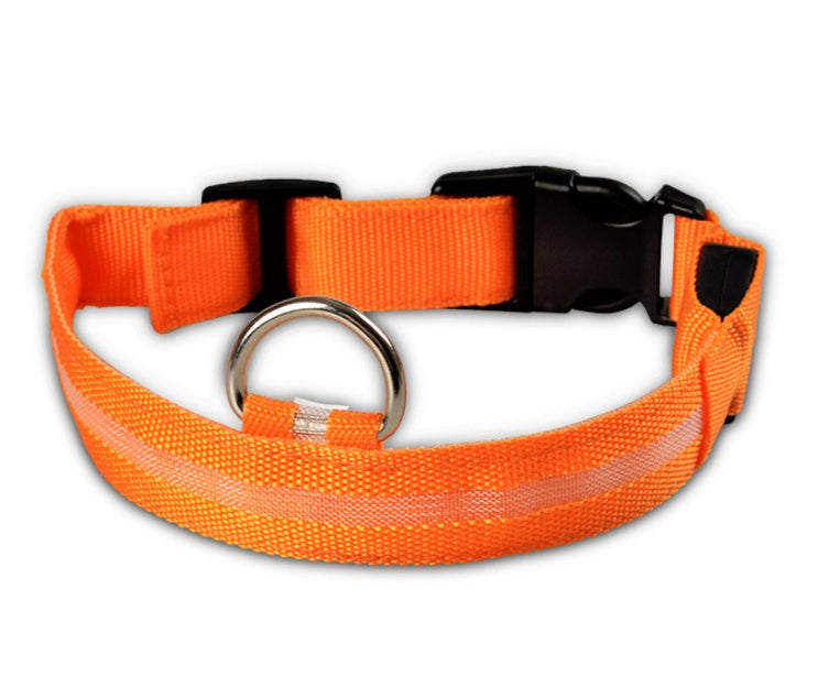 Collar Luminoso LED de Nylon