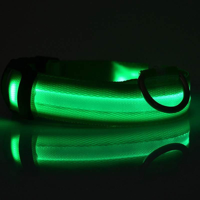 Collar Luminoso LED de Nylon