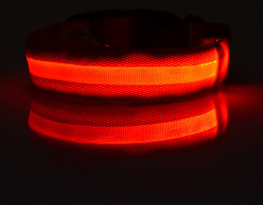 Collar Luminoso LED de Nylon
