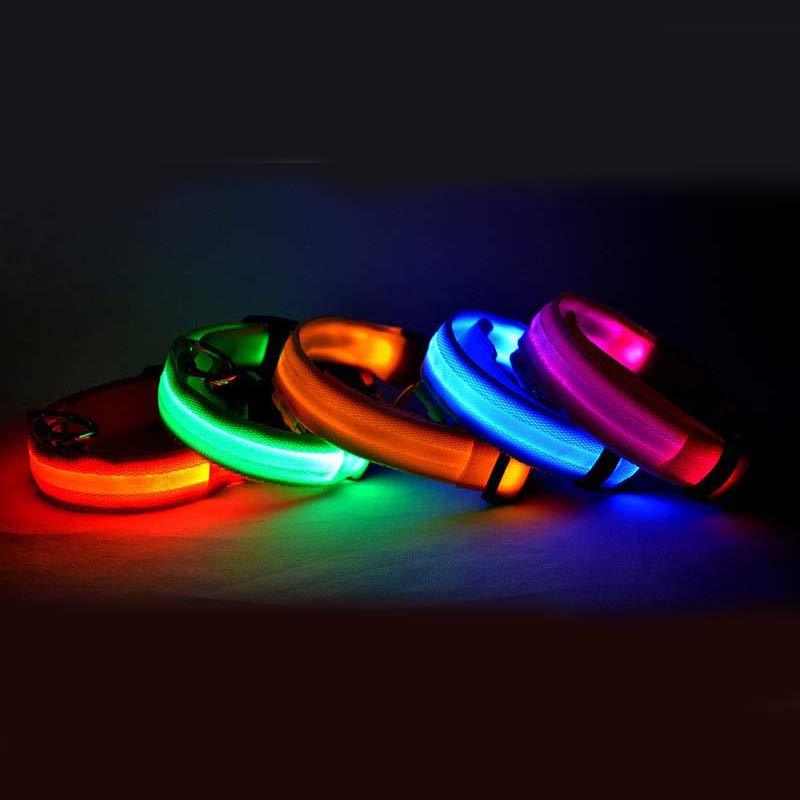 Collar Luminoso LED de Nylon