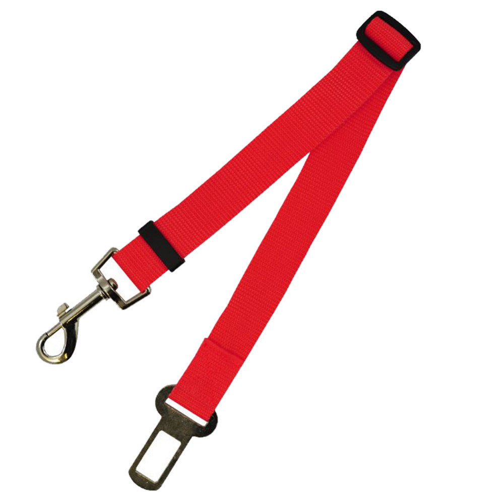 Correa Fija de Poliéster 70cm