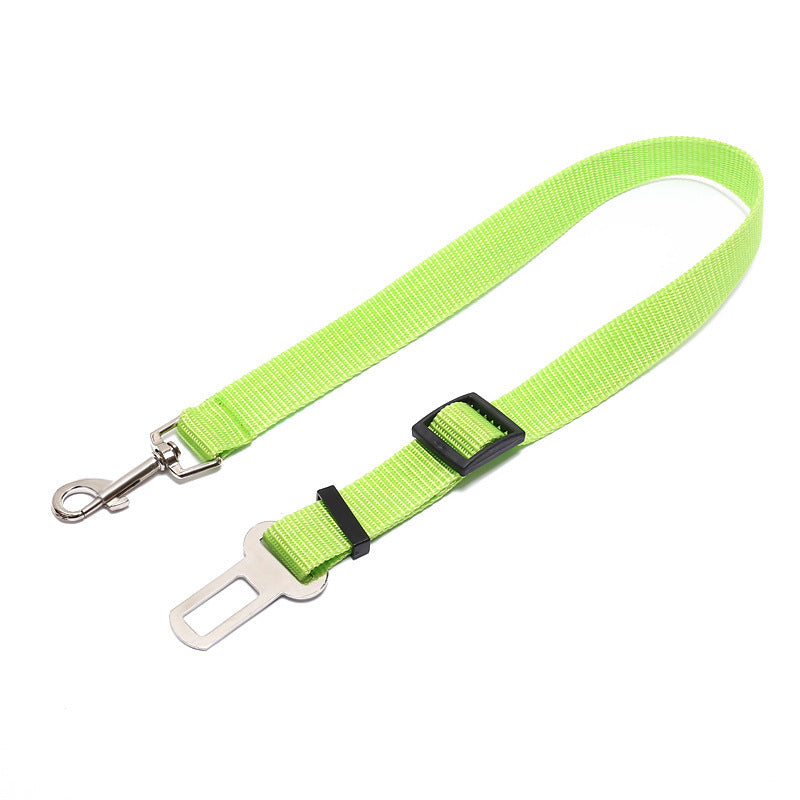 Correa Fija de Poliéster 70cm