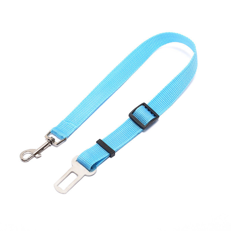Correa Fija de Poliéster 70cm