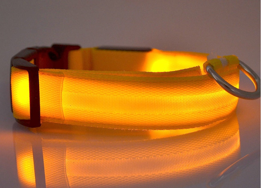 Collar Luminoso LED de Nylon