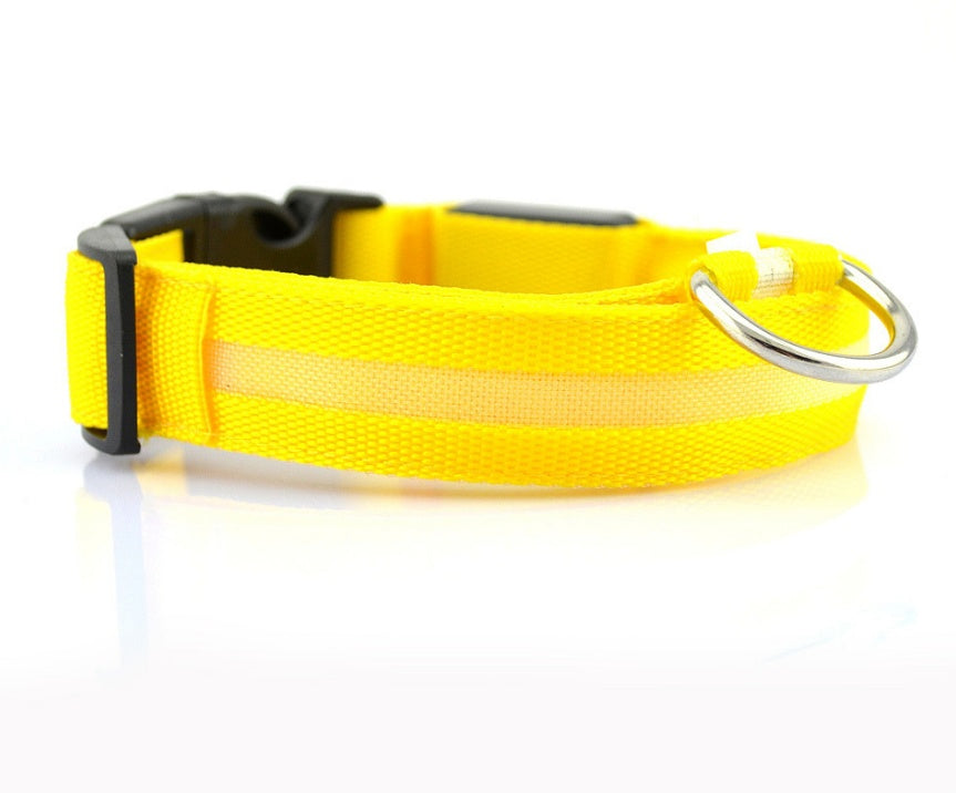 Collar Luminoso LED de Nylon