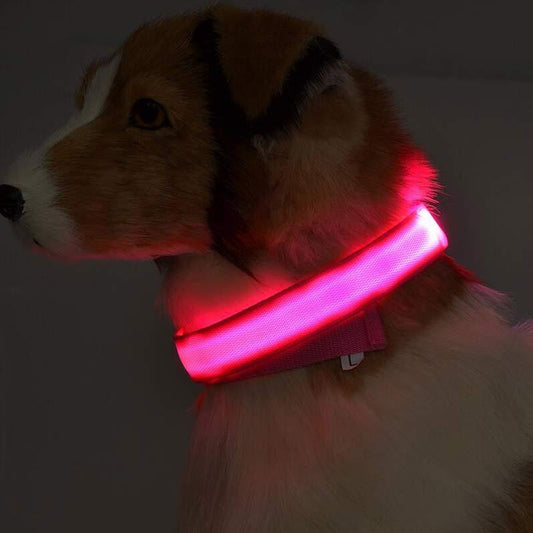 Collar Luminoso LED de Nylon