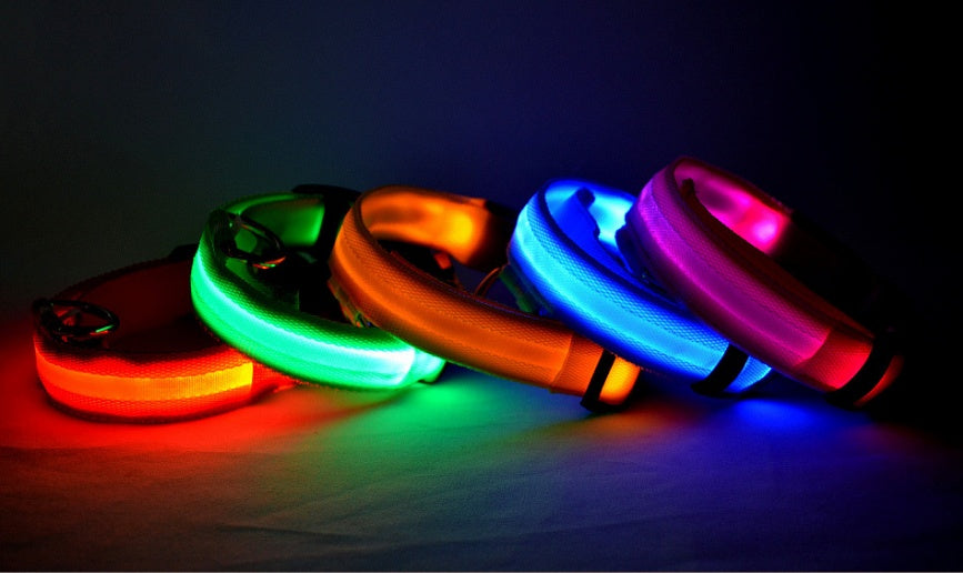 Collar Luminoso LED de Nylon