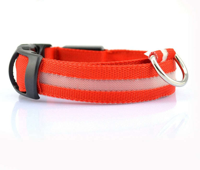 Collar Luminoso LED de Nylon
