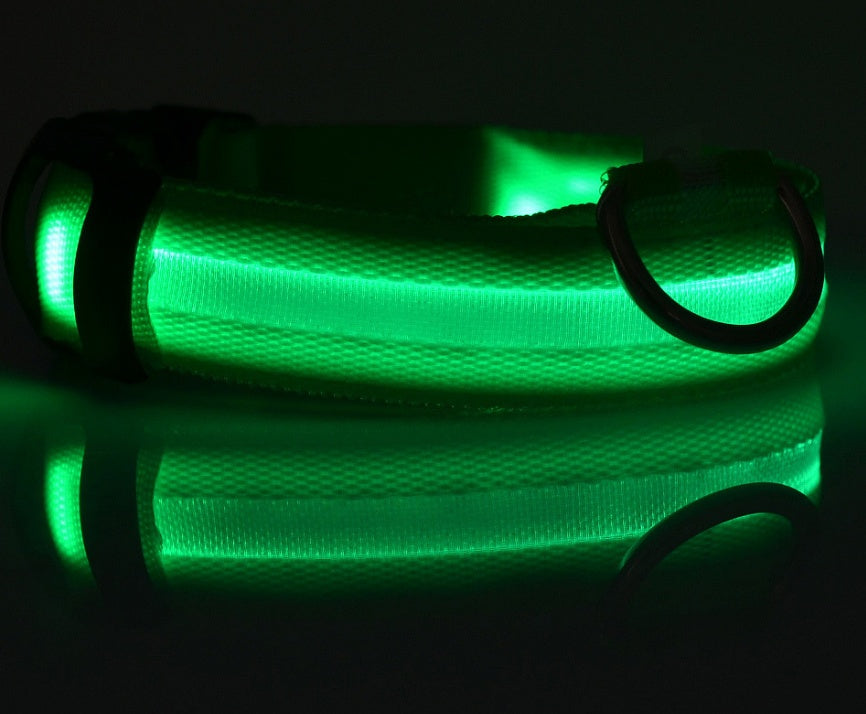 Collar Luminoso LED de Nylon