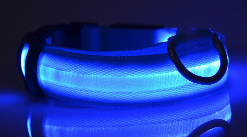 Collar Luminoso LED de Nylon
