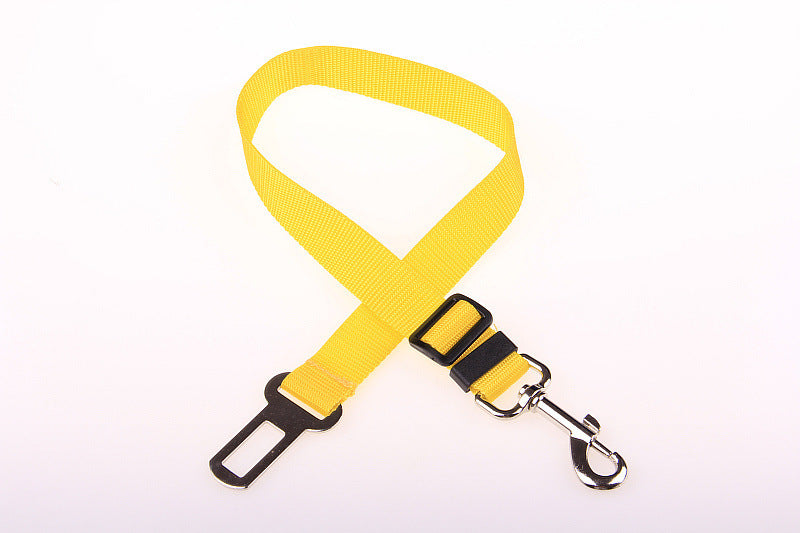 Correa Fija de Poliéster 70cm
