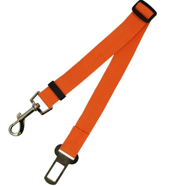Correa Fija de Poliéster 70cm
