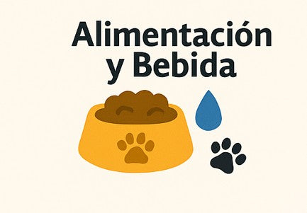 Alimentación y Bebida