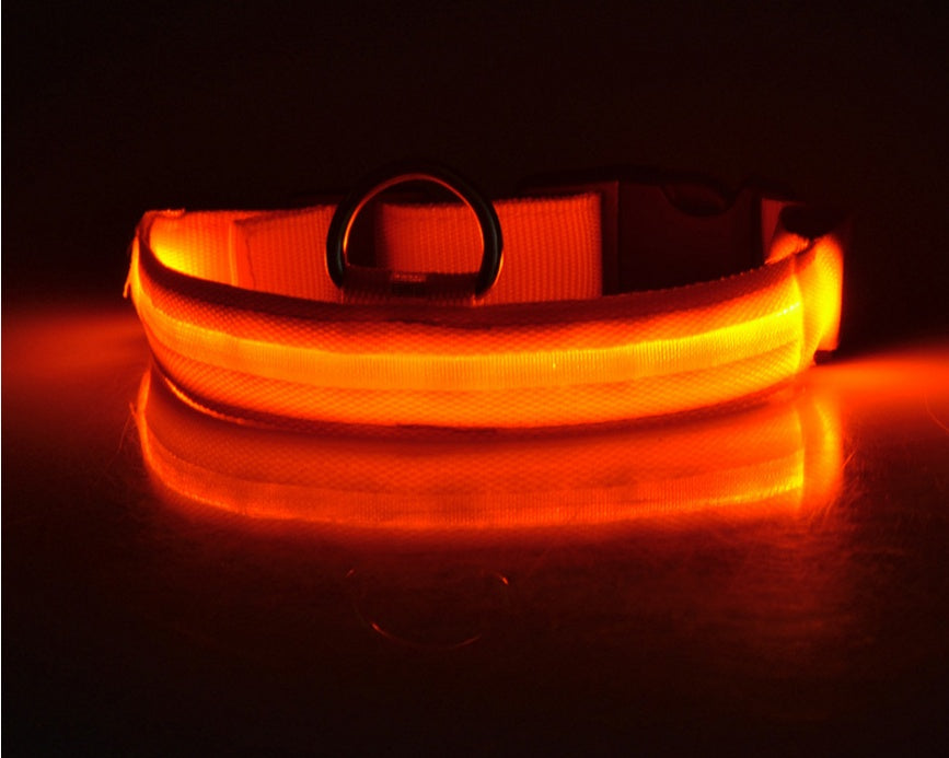 Collar Luminoso LED de Nylon