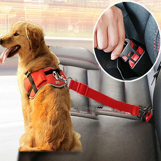 Cinturón de Seguridad para Coche