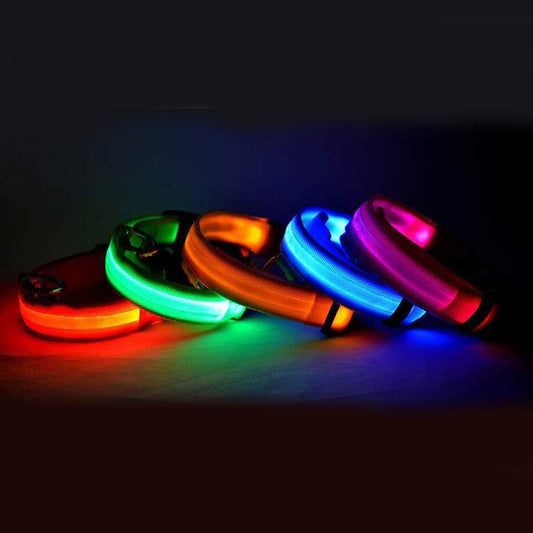 Collar Luminoso LED de Nylon