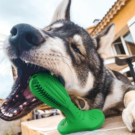Cepillo de Dientes para Perros